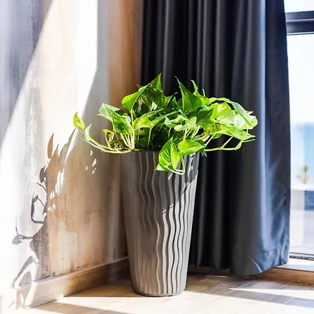 Appart hôtel Marina Luxury By Ps