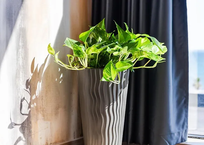 Apart-hotel Marina Luxury By Ps